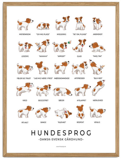 Dansk Svensk Gårdhund - Hundesprog plakat (brun)