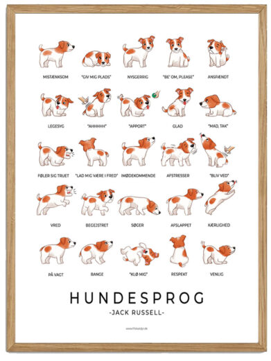 Jack Russell - Hundesprog plakat