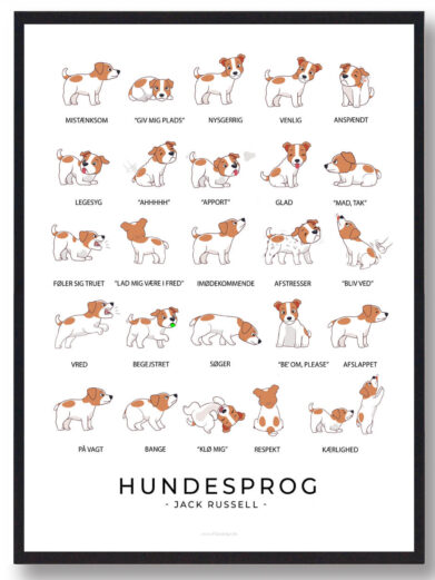 Jack Russell - Hundesprog plakat