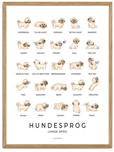 Lhasa Apso - Hundesprog plakat