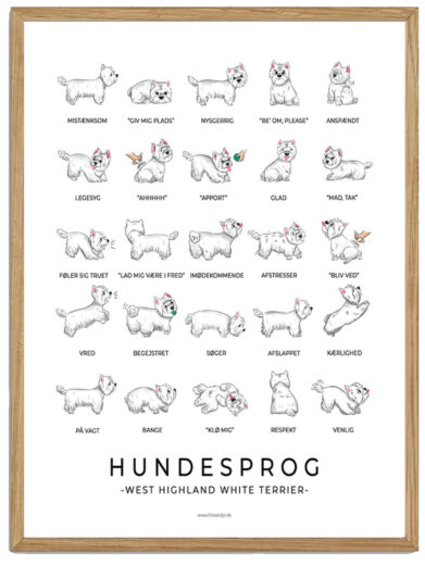 West Highland White Terrier - Hundesprog plakat