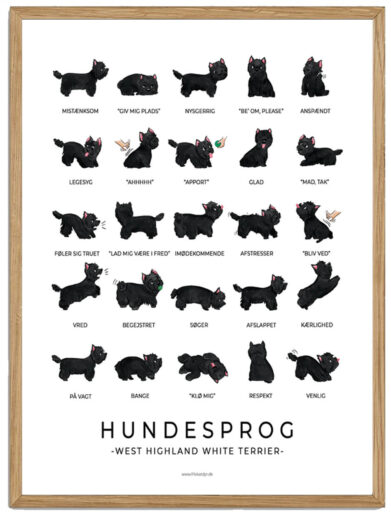 West Highland White Terrier - Hundesprog plakat (sort)