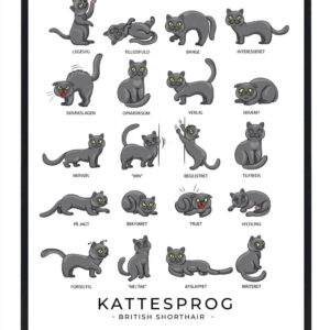 Kattesprog - British shorthair plakat