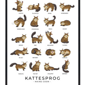 Kattesprog - Maine Coon plakat