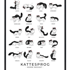 Kattesprog - Norsk skovkat plakat
