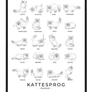 Kattesprog - Perser kat hvid plakat