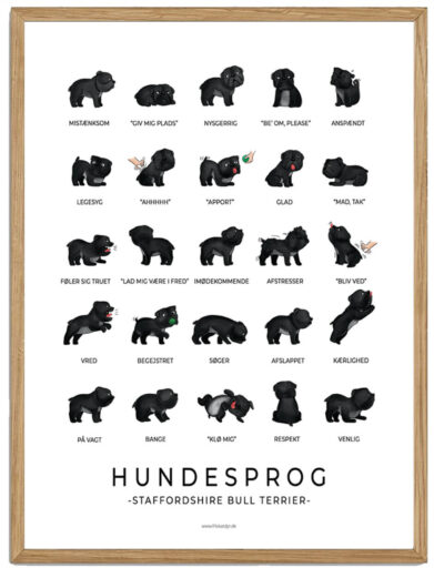 Staffordshire Bull Terrier sort plakat - Hundesprog