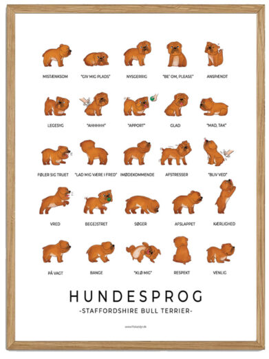 Staffordshire Bull Terrier plakat - Hundesprog