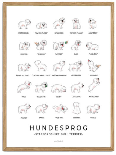 Staffordshire Bull Terrier hvid plakat - Hundesprog
