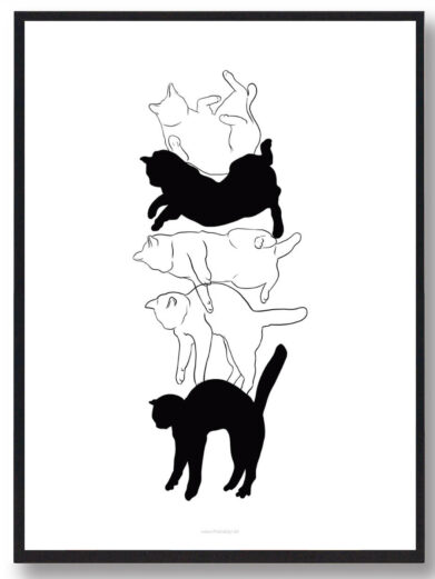 Katte falder - katteplakat