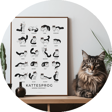 Katte-sprogsplakat med norsk skovkat. Sjov boligplakat til hjemmet for katteelskere.