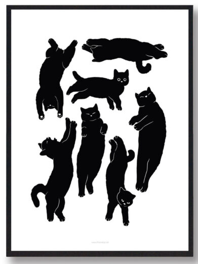 Katte kaos - sort katteplakat