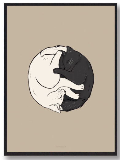 Yin og Yang - katteplakat