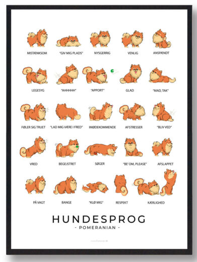 På pomeranian hundeplakaten ses flere pomeranian. Hundeplakaten har en hvid baggrund. Der står pomeranian hundesprog på plakaten fordi den viser hvordan pomeranian opfører sig ved de forskellige følelser.