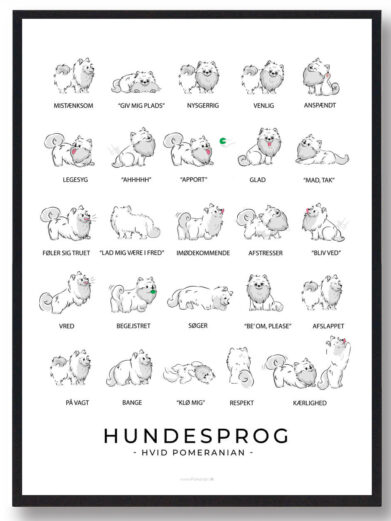 På pomeranian hundeplakaten ses flere pomeranian. Hundeplakaten har en hvid baggrund. Der står pomeranian hundesprog på plakaten fordi den viser hvordan pomeranian opfører sig ved de forskellige følelser.