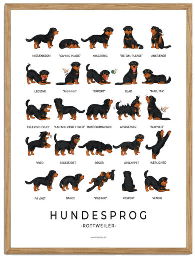 Rottweiler - Hundesprog plakat
