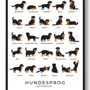 Rottweiler - Hundesprog plakat
