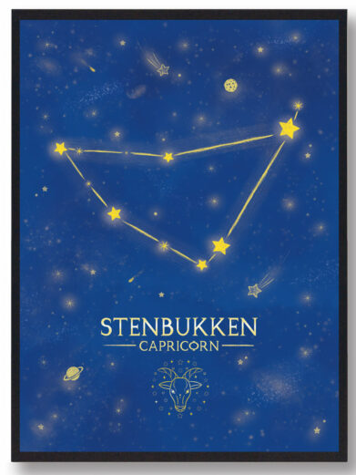 Stjernebillede stenbukken - blå