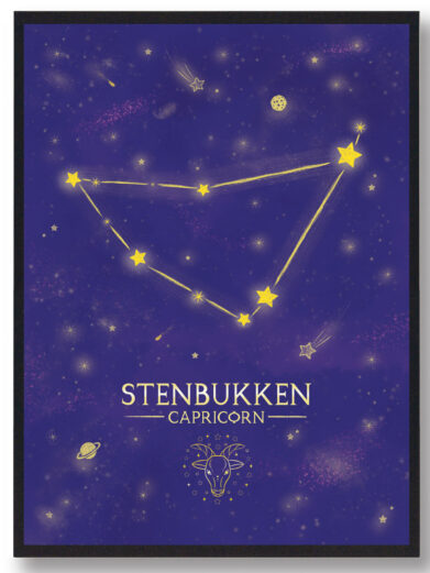 Stjernebillede stenbukken - lilla