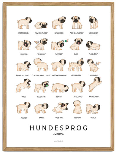 Mops plakat - Hundesprog