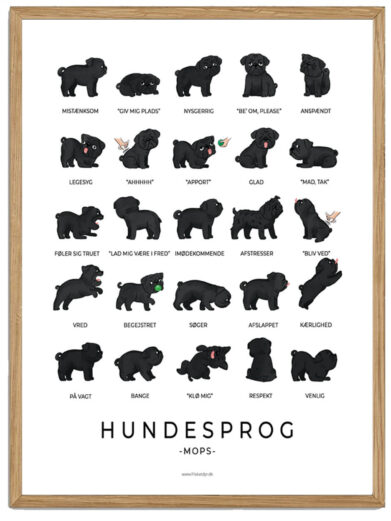 Mops sort plakat - Hundesprog