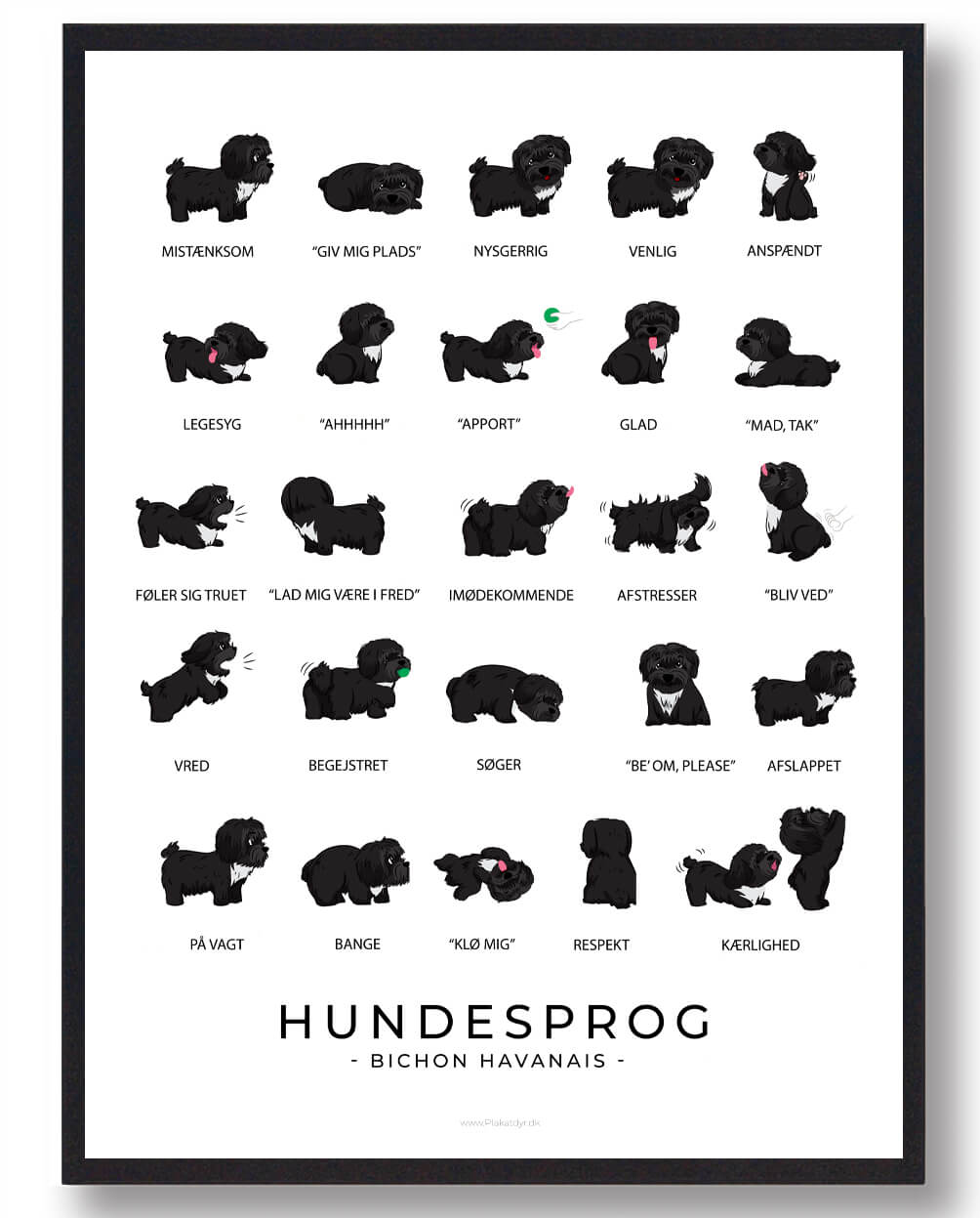 Bichon Havanais - Sort Hundesprog plakat