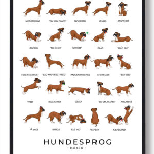 Boxer - Hundesprog plakat