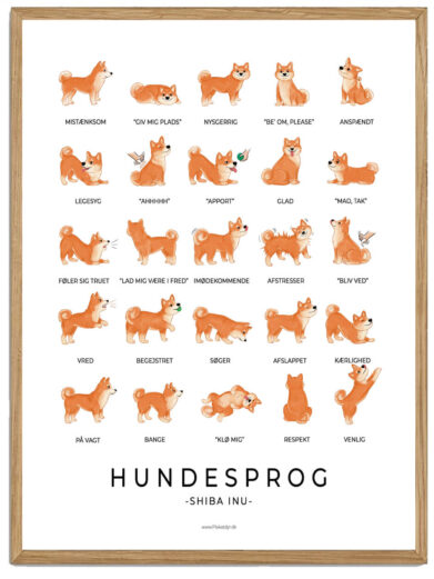 Shiba - Hundesprog plakat