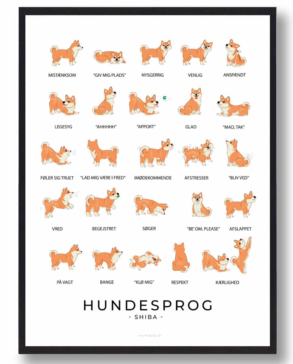 Shiba - Hundesprog plakat