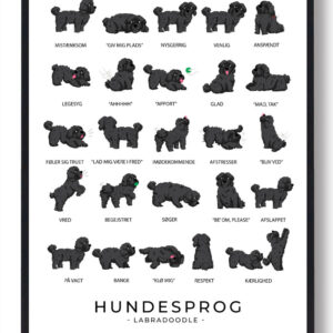 Labradoodle - Sort Hundesprog plakat