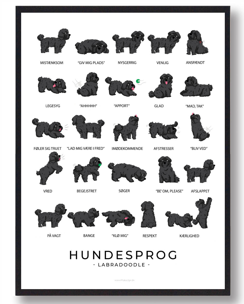 Labradoodle - Sort Hundesprog plakat