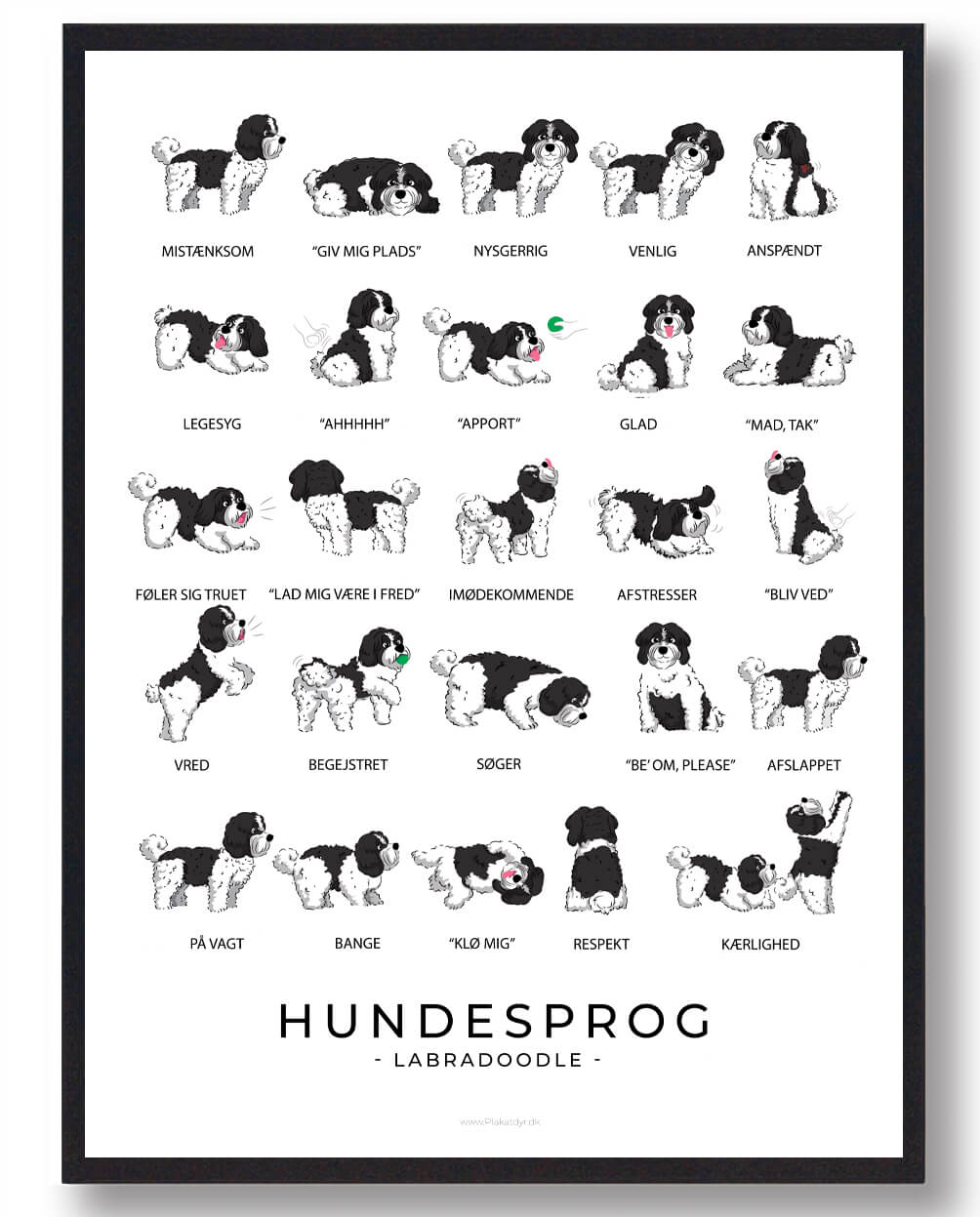Labradoodle - sort/hvid Hundesprog plakat
