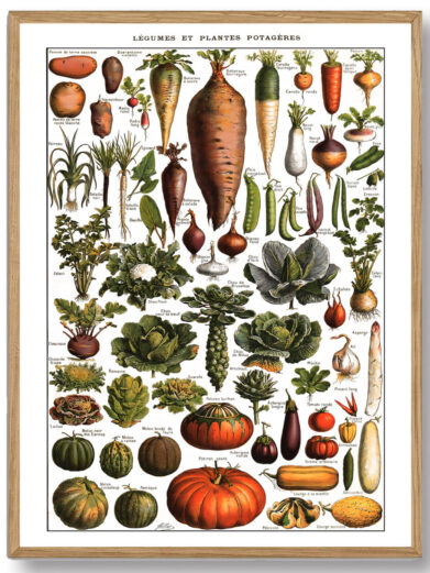 Millots Légumes et Plantes Potagères forener videnskabelig præcision med kunstnerisk finesse og giver et fascinerende indblik i grøntsagernes verden. Den er perfekt til planteelskere, madentusiaster og dem, der ønsker at bringe naturens skønhed ind i deres hjem.