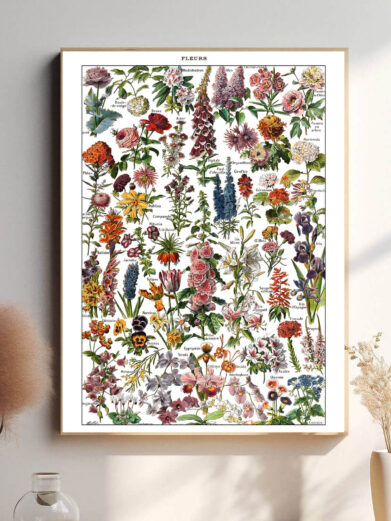 Plakaten fremhæver blomster i et klassisk design, med bløde nuancer og omhyggelige detaljer. Den fine farvepalet gør den ideel til både moderne og traditionelle interiører.
