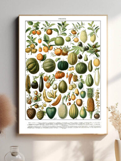Denne vintage-plakat af Adolphe Millot præsenterer en smukt illustreret samling af frugter fra hele verden, gengivet med stor præcision og naturlige farver. Perfekt til køkkenet, spisestuen eller som en hyldest til botanisk kunst. Hver illustration kombinerer videnskabelig nøjagtighed med en æstetisk elegance, der gør plakaten både dekorativ og lærerig.