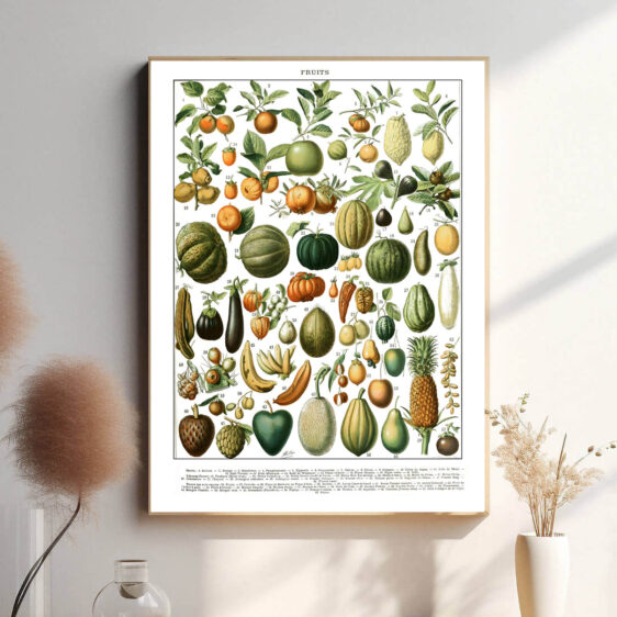 Denne vintage-plakat af Adolphe Millot præsenterer en smukt illustreret samling af frugter fra hele verden, gengivet med stor præcision og naturlige farver. Perfekt til køkkenet, spisestuen eller som en hyldest til botanisk kunst. Hver illustration kombinerer videnskabelig nøjagtighed med en æstetisk elegance, der gør plakaten både dekorativ og lærerig.