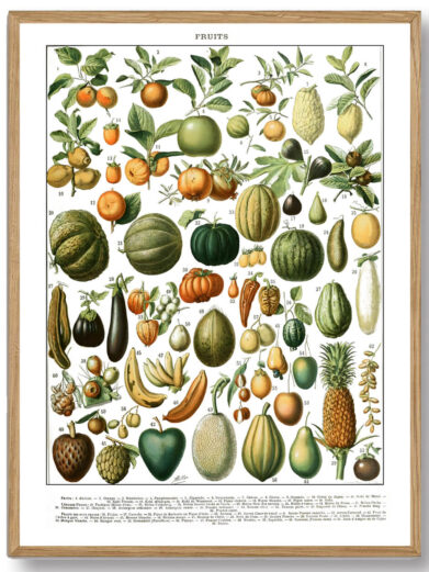 Millots Fruits-plakat kombinerer videnskabelig præcision med kunstnerisk finesse og giver et fascinerende indblik i frugternes verden. Den er perfekt til madelskere, havefolk og alle, der ønsker at bringe naturens rigdom og botaniske skønhed ind i deres daglige omgivelser.
