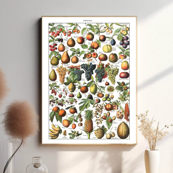 Denne vintage-frugtplakat af Adolphe Millot præsenterer en smukt illustreret samling af frugter, gengivet med stor præcision og livlige, naturlige farver. Perfekt til køkkenet, spisestuen eller som en inspirerende dekoration for frugt- og planteelskere. Hver illustration er udført med videnskabelig nøjagtighed, hvilket gør plakaten både dekorativ og informativ.