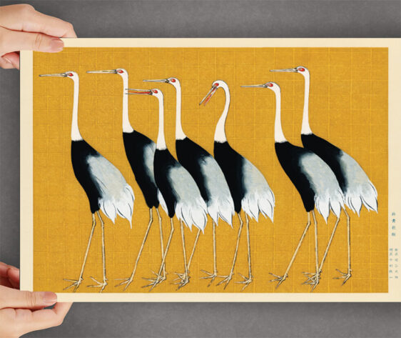 Denne plakat af Ogata Kōrin viser den japanske røde kronekran med elegance og præcision. De fine detaljer og levende farver fremhæver fuglens majestæt, og dens symbolik i japansk kultur, som repræsenterer lang levetid og lykke. Plakaten tilføjer en sofistikeret og kulturelt rig dekoration til ethvert rum.