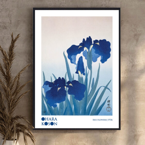 Denne plakat fanger de smukke irisblomster i et øjeblik af fuld udfoldelse. Kosons fine detaljer og farverige penselstrøg fremhæver blomsterne med deres delikate form og levende farver, hvilket giver en følelse af livskraft og naturlig skønhed.