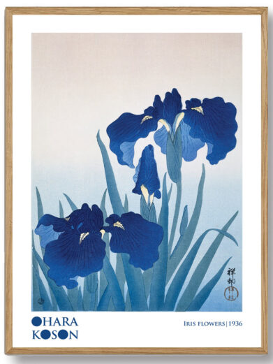 En betagende plakat, der skildrer Ohara Kosons Irisblomster. De livlige farver og de fine detaljer på blomsterne skaber en dynamisk og samtidig fredfyldt scene, hvor naturens skønhed og florale detaljer træder tydeligt frem.