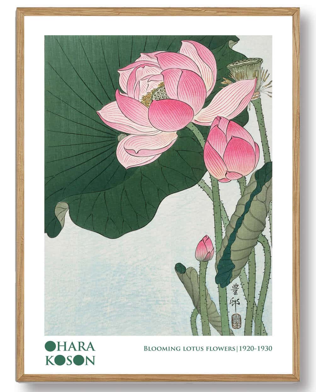 Ohara Koson - Lotus