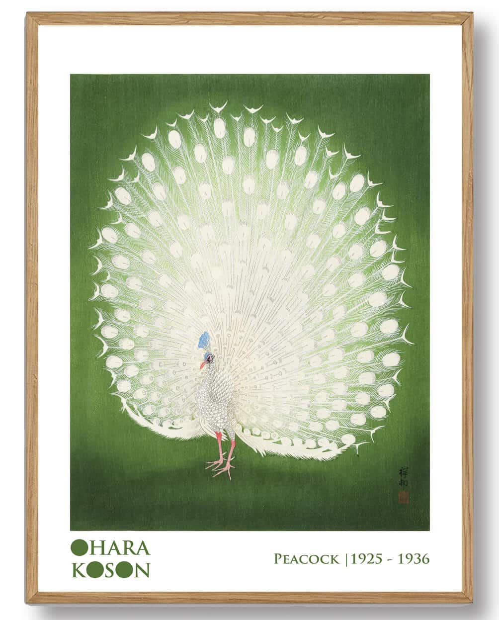 Ohara Koson - Peacook