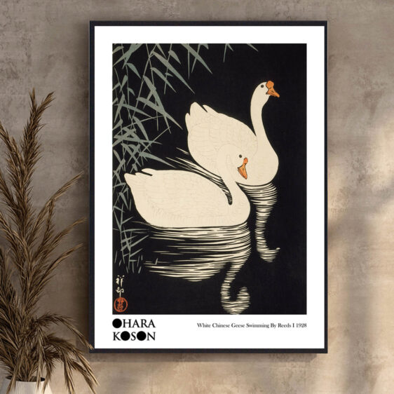 White Chinese Geese Swimming by Reeds af Ohara Koson udstråler en rolig og elegant atmosfære. De hvide gæs glider stille gennem vandet, omgivet af de bløde rør, hvilket skaber en følelse af harmoni og fred i naturen.