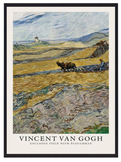 Vincent van Gogh - Plougman