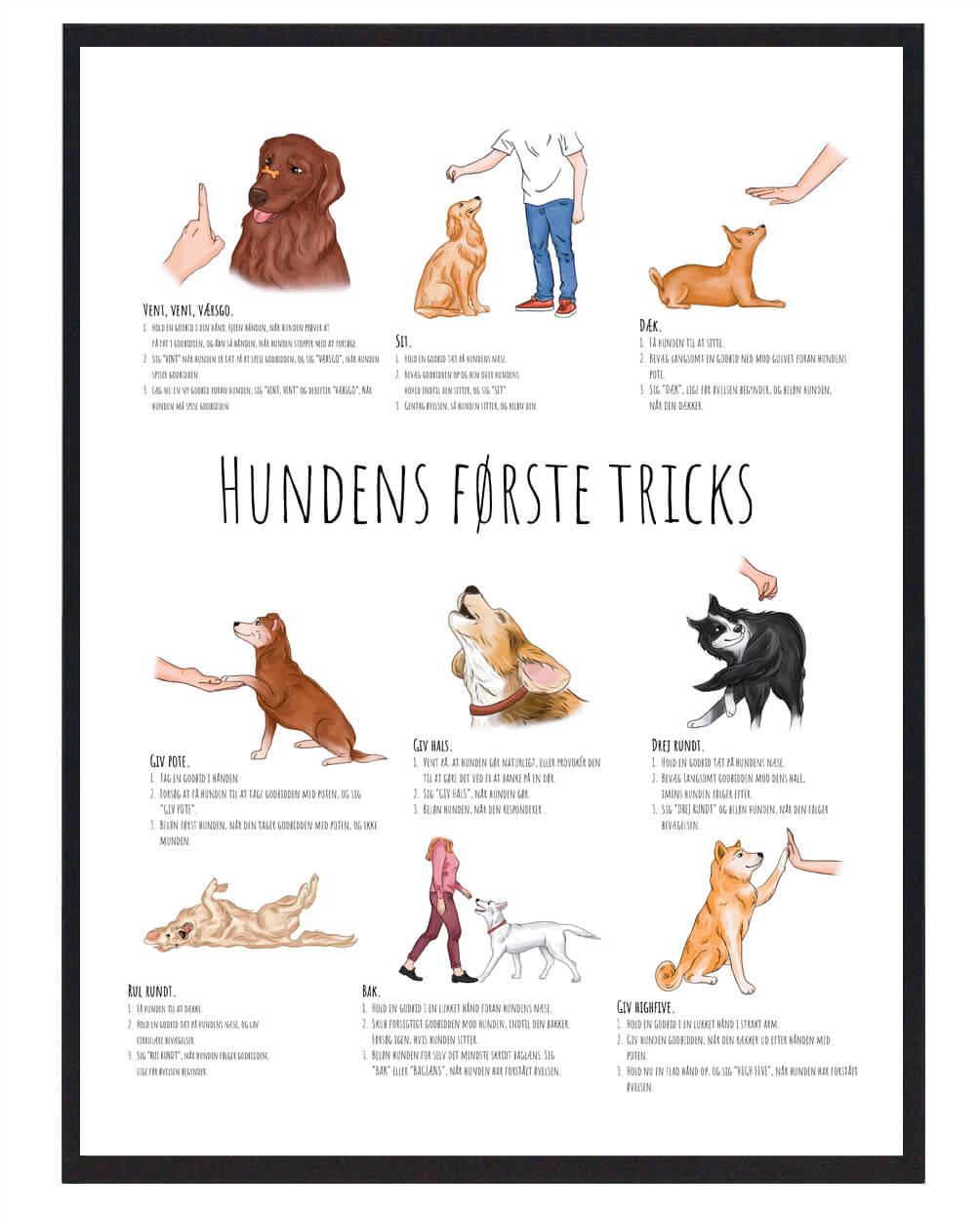 Lege Og Træningsøvelser Til Din Hund