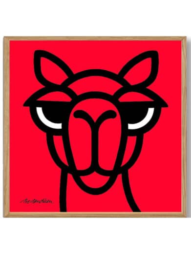 Bo Bendixen kamel plakat i rød. Minimalistisk design med sort streg og dristige farver. Vist i ramme. Fra Bo Bendixens lager.