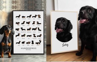 Hundeplakater til boligindretning. Sjov hundeplakat med gravhund og hundesprog guide. Perfekt til hundeelskere!